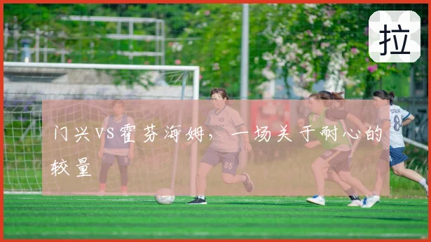门兴vs霍芬海姆,一场关于耐心的较量